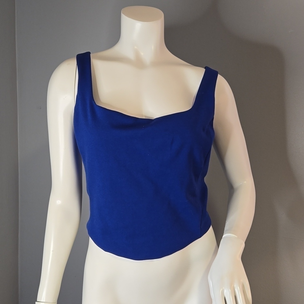Rachel Zoe Blue Stretchy Lined Sleeveless Crop Top - Size Small